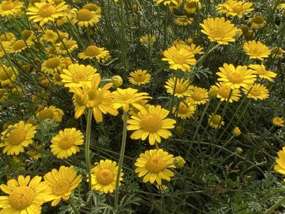 608476D3-BC6A-408F-A01B-65697AD189D6