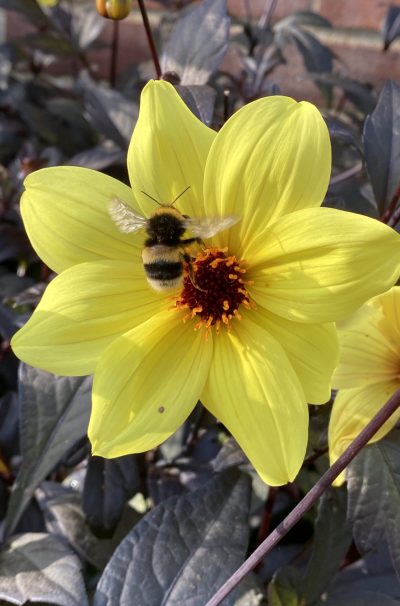 608FEC69-F6C4-45AF-917E-19479E46FDFB