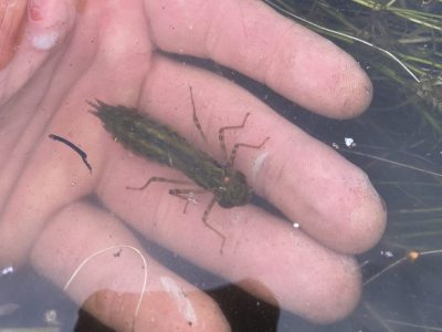 E190D76E-472F-4CE7-8595-96658D83FF4D