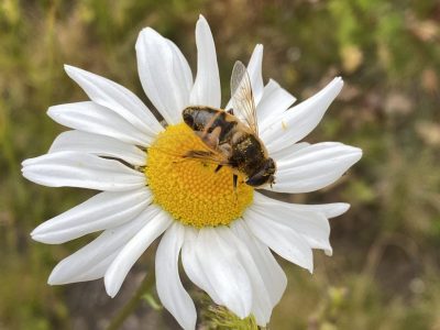 F4FD6A92-DD93-4100-BADC-CDA4EC5ED0B0